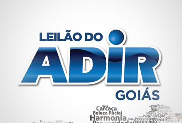 LEILÃO DO ADIR - GOIÁS