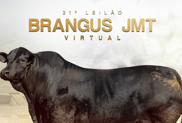 21º LEILÃO VIRTUAL BRANGUS JMT