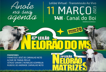 47º LEILÃO NELORÃO DO MS / 29º LEILÃO NELORÃO MATRIZES
