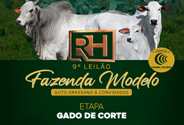 9º LEILÃO FAZENDA MODELO - GADO DE CORTE