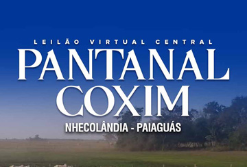 LEILÃO VIRTUAL CENTRAL PANTANAL COXIM