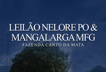 LEILÃO NELORE PO & MANGALARGA MFG - FAZENDA CANTO DA MATA