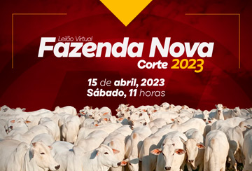 LEILÃO FAZENDA NOVA 2023 - CORTE