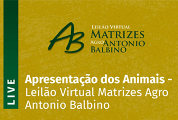 LIVE - APRESENTAÇÃO DOS ANIMAIS - LEILÃO VIRTUAL MATRIZES AGRO ANTÔNIO BALBINO