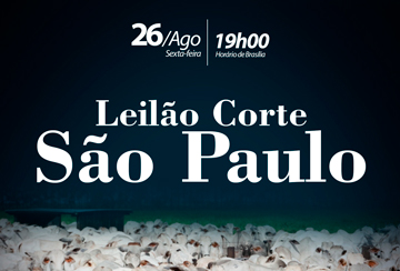 LEILÃO CORTE SÃO PAULO