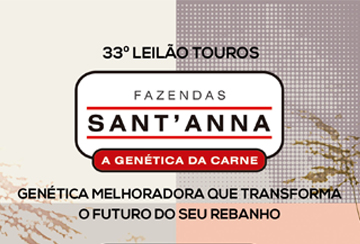 33º LEILÃO TOUROS FAZENDAS SANTANNA