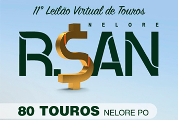 11º LEILÃO VIRTUAL DE TOUROS NELORE RSAN