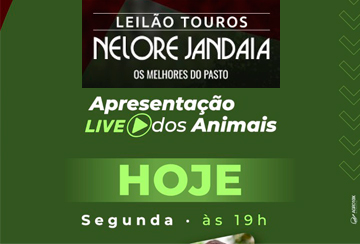 LIVE - Apresentação dos animais LEILÃO TOUROS NELORE JANDAIA