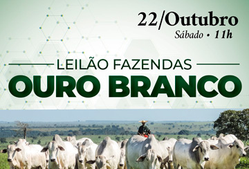 LEILÃO FAZENDAS OURO BRANCO