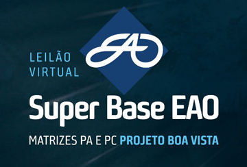 LEILÃO VIRTUAL SUPER BASE EAO