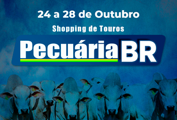 SHOPPING DE TOUROS PECUÁRIA BR (24 A 28 DE OUTUBRO)