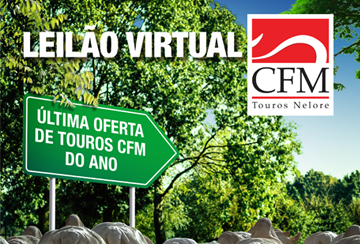 LEILÃO VIRTUAL CFM
