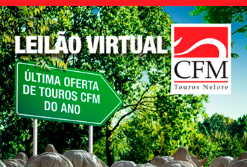 TIRA DÚVIDAS - LEILÃO VIRTUAL CFM