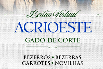 LEILÃO VIRTUAL ACRIOESTE - GADO DE CORTE