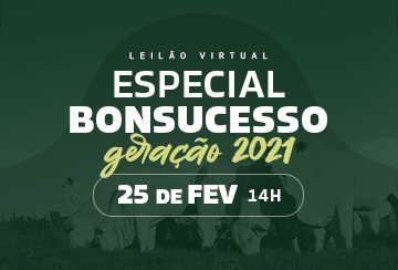 LEILÃO VIRTUAL ESPECIAL BONSUCESSO - GERAÇÃO 2021