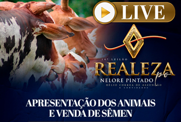 LIVE - APRESENTAÇÃO DOS ANIMAIS E VENDA DE SÊMEN -  14º LEILÃO REALEZA - NELORE PINTADO PO