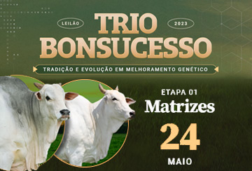 LEILÃO TRIO BONSUCESSO - ETAPA 1 MATRIZES