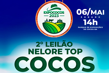 2º LEILÃO NELORE TOP DE COCOS
