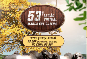 53º LEILÃO VIRTUAL MARCA SOL GUZERÁ