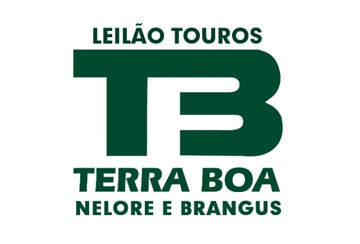 LEILÃO TOUROS TERRA BOA