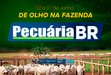 LEILÃO PECUÁRIA BR