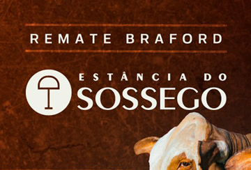 REMATE BRAFORD ESTÂNCIA DO SOSSEGO