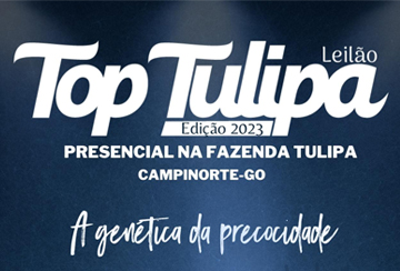 LEILÃO TOP TULIPA - EDIÇÃO 2023