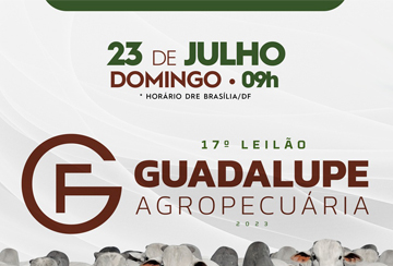 17º LEILÃO VIRTUAL GUADALUPE AGROPECUÁRIA - TOUROS