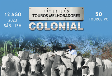 17º LEILÃO TOUROS MELHORADORES COLONIAL