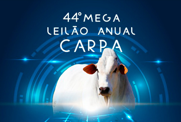 44º MEGA LEILÃO ANUAL CARPA - TOUROS