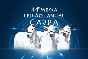 44º MEGA LEILÃO ANUAL CARPA - FÊMEAS