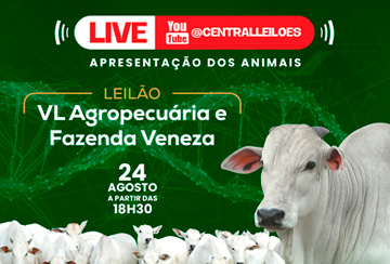 LIVE DE APRESENTAÇÃO DOS ANIMAIS -  LEILÃO VL AGROPECUÁRIA E FAZENDA VENEZA