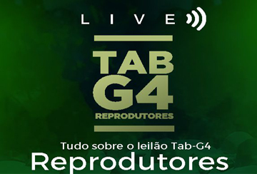 LIVE DE APRESENTAÇÃO DOS ANIMAIS DO  LEILÃO TAB G4 REPRODUTORES