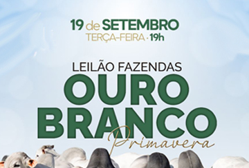 LEILÃO FAZENDAS OURO BRANCO - PRIMAVERA