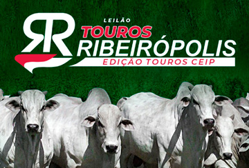 LEILÃO AGROPECUÁRIA RIBEIRÓPOLIS - EDIÇÃO TOUROS CEIP