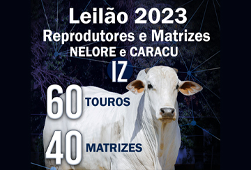 LEILÃO IZ 2023 REPRODUTORES E MATRIZES NELORE E CARACU