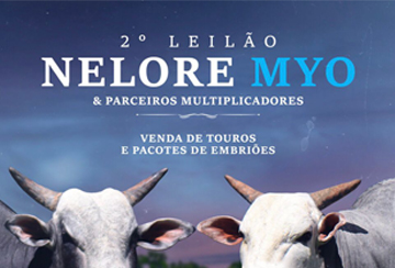 2º LEILÃO NELORE MYO & PARCEIROS MULTIPLICADORES (DE OLHO NA FAZENDA DE 10 A 12 DE OUTUBRO)