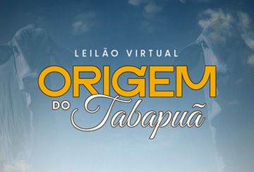 LEILÃO VIRTUAL ORIGEM DO TABAPUÃ