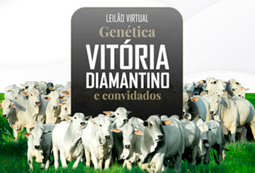 LEILÃO VIRTUAL GENÉTICA VITÓRIA DIAMANTINO E CONVIDADOS