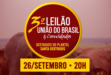 3º LEILÃO UNIÃO DO BRASIL E CONVIDADOS