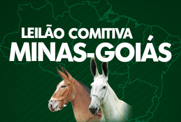 LEILÃO COMITIVA MINAS-GOIÁS
