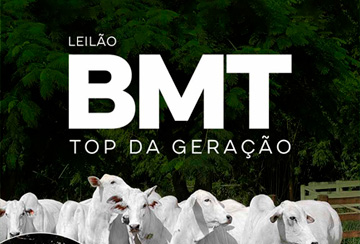 LEILÃO BMT TOP DA GERAÇÃO