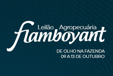 LEILÃO VIRTUAL AGROPECUÁRIA FLAMBOYANT (DE OLHO NA FAZENDA DE 09 A 13 DE OUTUBRO)