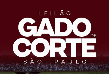 LEILÃO GADO DE CORTE - SÃO PAULO