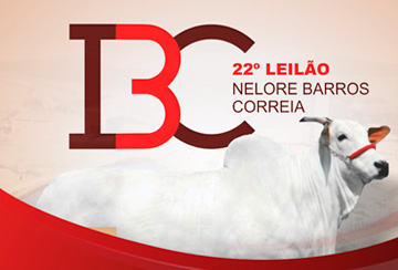 22º LEILÃO IBC - NELORE BARROS CORREIA