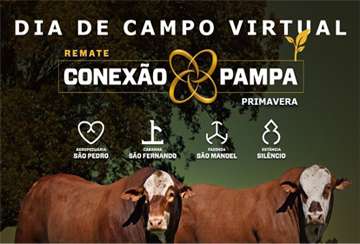 DIA DE CAMPO VIRTUAL - REMATE CONEXÃO PAMPA PRIMAVERA