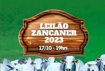 LEILÃO ZANCANER 2023