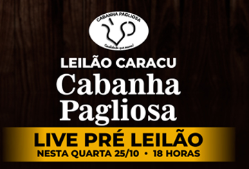 LIVE PRÉ-LEILÃO CARACU CABANHA PAGLIOSA