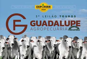 3º LEILÃO TOUROS GUADALUPE AGROPECUÁRIA EDIÇÃO PRIMAVERA