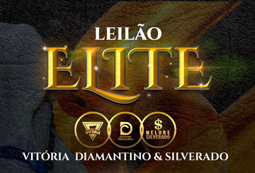 LEILÃO ELITE VITÓRIA DIAMANTINO & SILVERADO